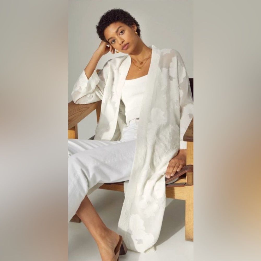 Aritzia Wilfred Durante Robe